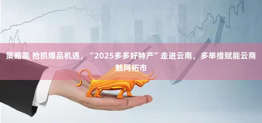 策略赢 抢抓爆品机遇，“2025多多好特产”走进云南，多举措赋能云商触网拓市