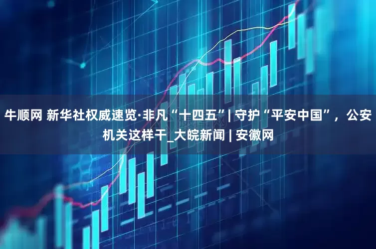 牛顺网 新华社权威速览·非凡“十四五”| 守护“平安中国”，公安机关这样干_大皖新闻 | 安徽网
