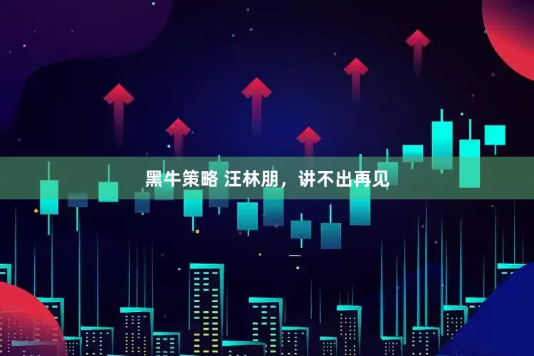 黑牛策略 汪林朋，讲不出再见