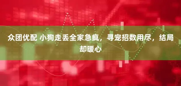 众团优配 小狗走丢全家急疯，寻宠招数用尽，结局却暖心