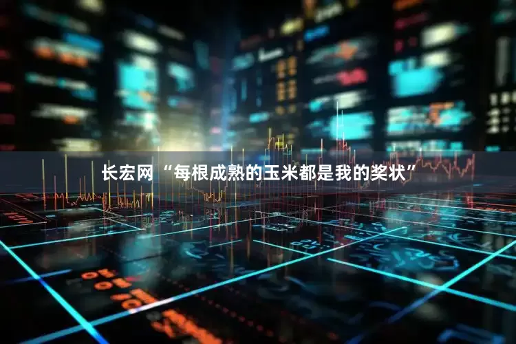 长宏网 “每根成熟的玉米都是我的奖状”