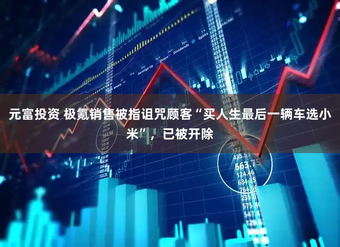 元富投资 极氪销售被指诅咒顾客“买人生最后一辆车选小米”，已被开除