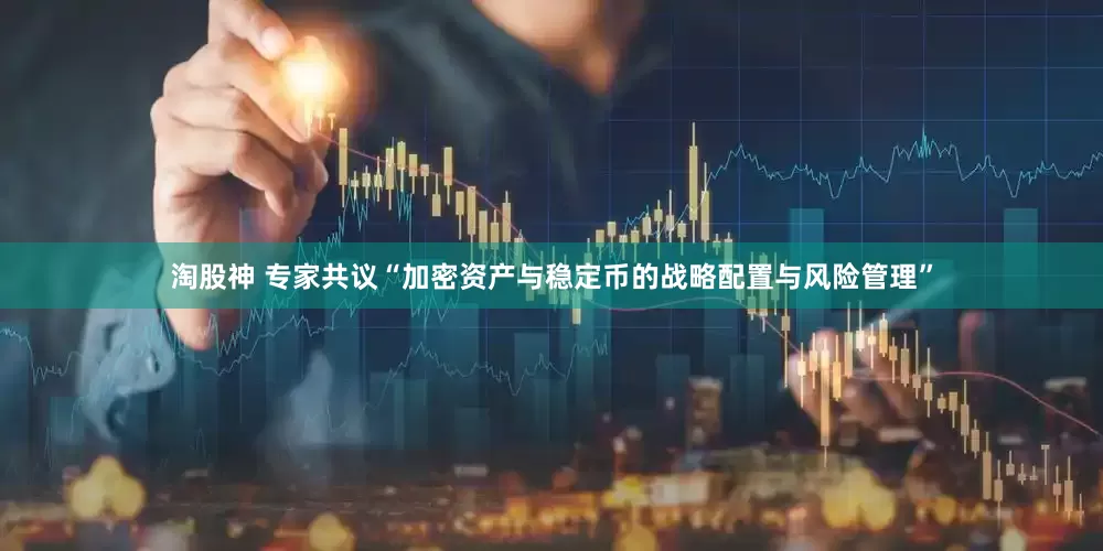 淘股神 专家共议“加密资产与稳定币的战略配置与风险管理”